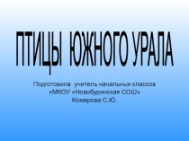 Презентация по внеурочной деятельности  Птицы Челябинской области(1-4 класс)