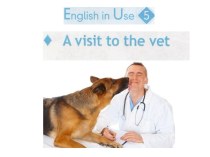 Презентация по английскому языку 5 класс  Визит к ветеринару