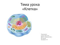 Презентация по биологии Клетка (7 класс)