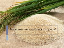 Презентация ко всекубанскому классному часу Есть миллион тонн кубанского риса!