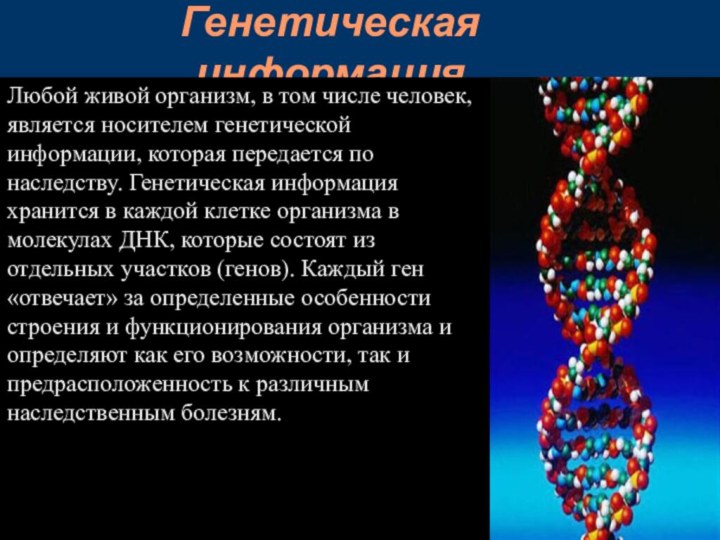 Генетическая информацияЛюбой живой организм, в том числе человек, является носителем генетической информации,