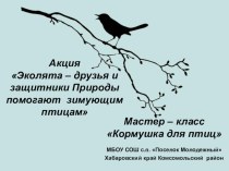 Презентация по экологии Мастер класс Кормушка для птиц