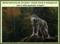 Презентация Волк часть 1