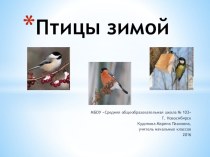 Презентация по окружающему миру на тему Птицы зимой