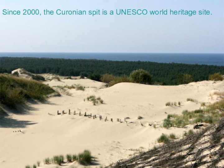 Since 2000, the Curonian spit is a UNESCO world heritage site.