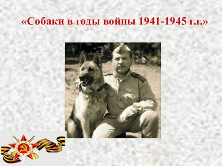 «Собаки в годы войны 1941-1945 г.г.»