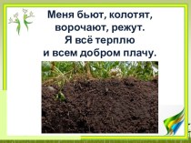 Презентация по биологии Почва как среда жизни