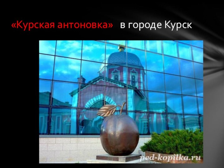 «Курская антоновка»  в городе Курск