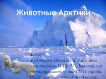 Презентация по дошкольному образованию Животные Арктики