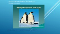 Презентация по окружающему миру на тему Пингвины ( 4 класс)