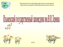 Презентация по географии на тему Ильменский заповедник