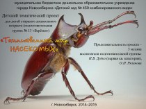 Детский тематический проект Таинственный мир насекомых