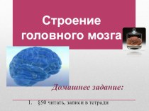 Презентация по биологии на тему Строение головного мозга