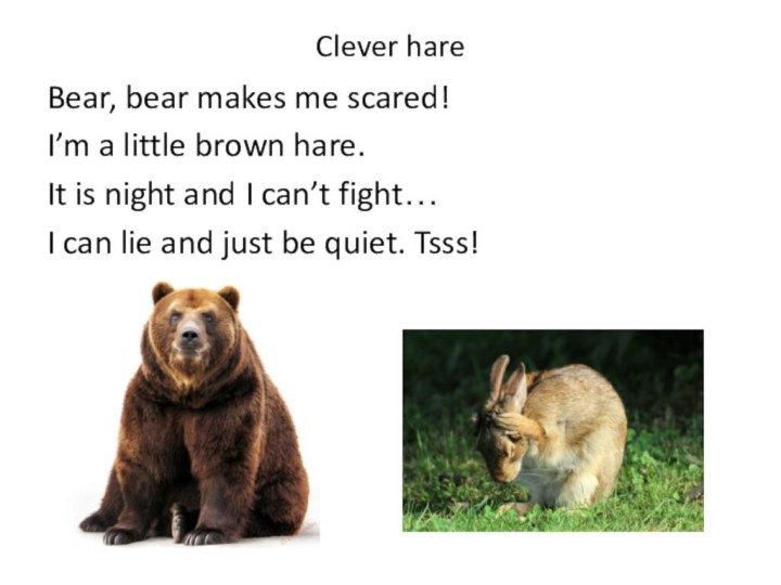 Clever hareBear, bear makes me scared!I’m a little brown hare.It is night