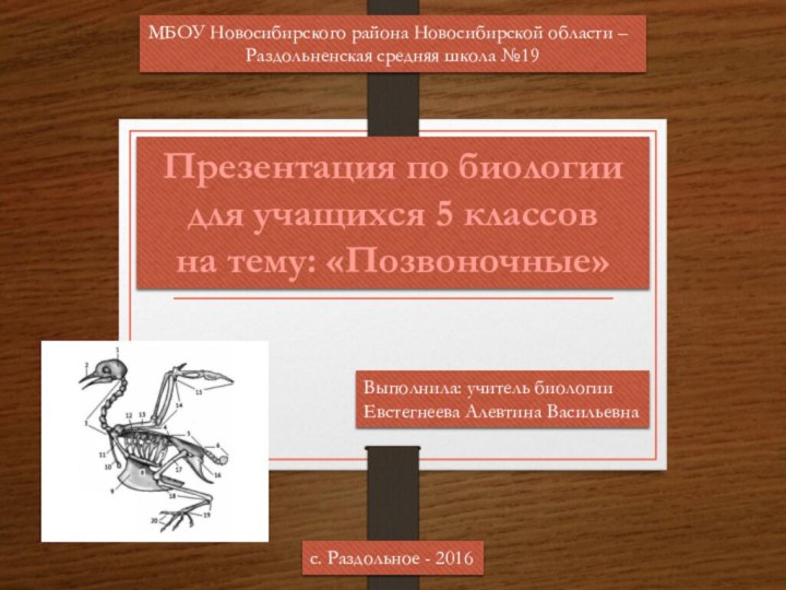 Презентация по биологии для учащихся 5 классовна тему: «Позвоночные»МБОУ Новосибирского района Новосибирской