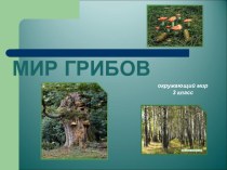 Презентация по окружающему миру на тему Мир грибов (3 класс)
