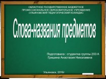 Презентация по русскому языку на тему Слова названия предметов