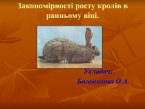 Презентація на тему:Закономірності росту кролів в ранньому віці