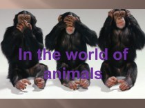 Презентация по английскому языку на тему In the world of animals (5 класс)