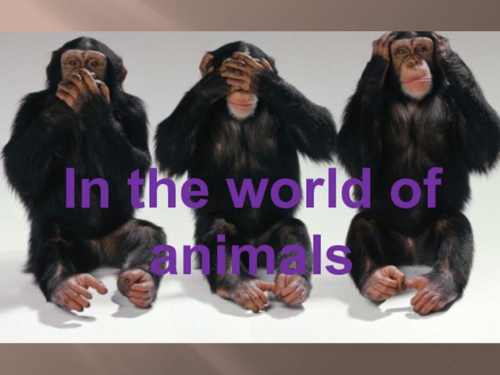 In the world of animals
