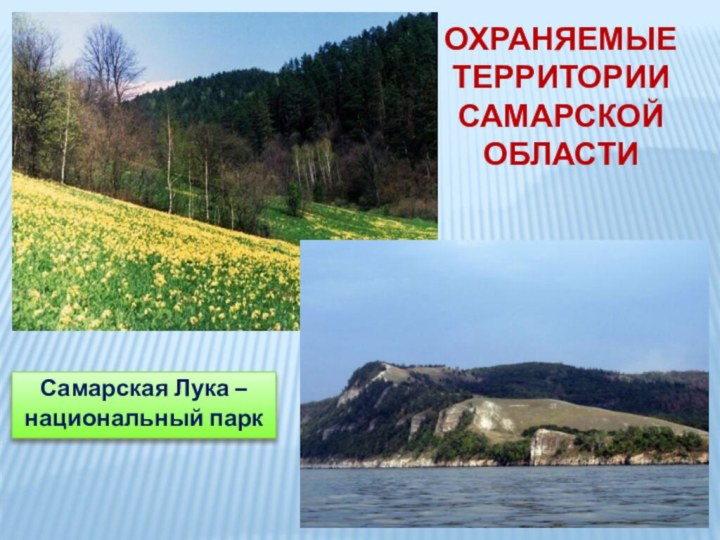 Охраняемые территории  Самарской областиСамарская Лука – национальный парк