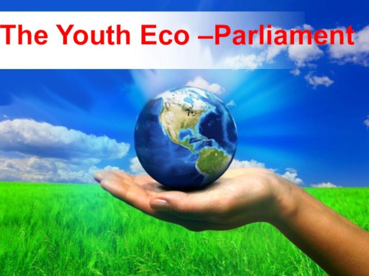 Lesson theme:The Youth Eco –ParliamentThe Youth Eco –Parliament