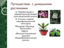 Презентация Путешествие с домашними растениями