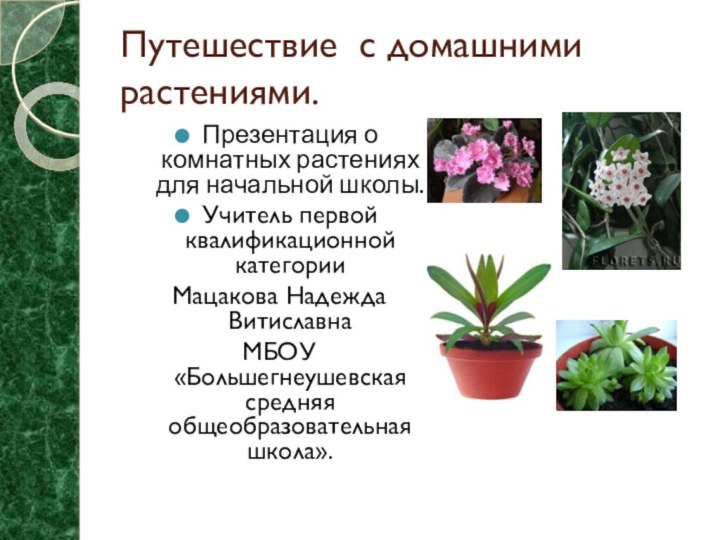 Путешествие с домашними растениями.Презентация о комнатных растениях для начальной школы.Учитель первой квалификационной