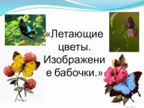 Летающие цветы. Изображение бабочки