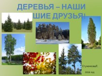 Презентация по окружающему миру на тему Деревья-наши друзья (1 класс)