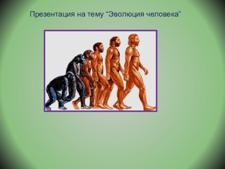 Презентация на тему “Эволюция человека”