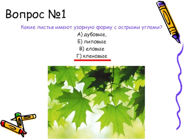 Вопрос №1Какие листья имеют узорную форму с острыми углами?А) дубовые,Б) липовыеВ) еловыеГ) кленовые