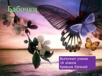 Презентация по окружающему миру на тему Разнообразие бабочек