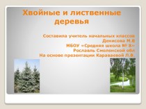 Презентация  Хвойные и лиственные деревья для занятия с будущими первоклассниками