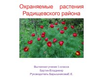 Презентация Охраняемые растения Радищевского района