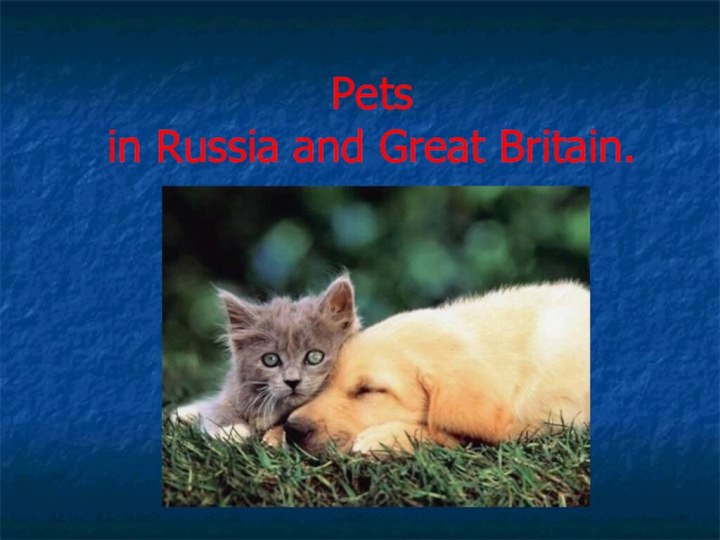 Pets  in Russia and Great Britain.