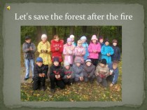 Презентация Let’s save the forest after the fire