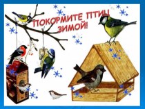 Экологическая конференция на тему Покормите птиц зимой