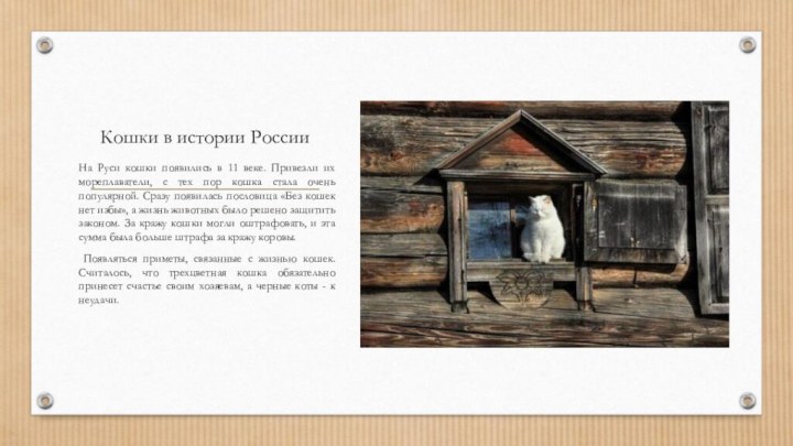 Кошки в истории РоссииНа Руси кошки появились в 11 веке. Привезли их