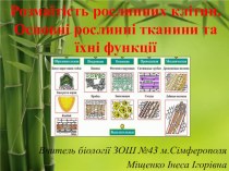 Презентация по биологии на тему Ткани растений (7 класс - украинский язык)