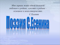 Презентация по литературе на тему Сергей Есенин(5 класс)
