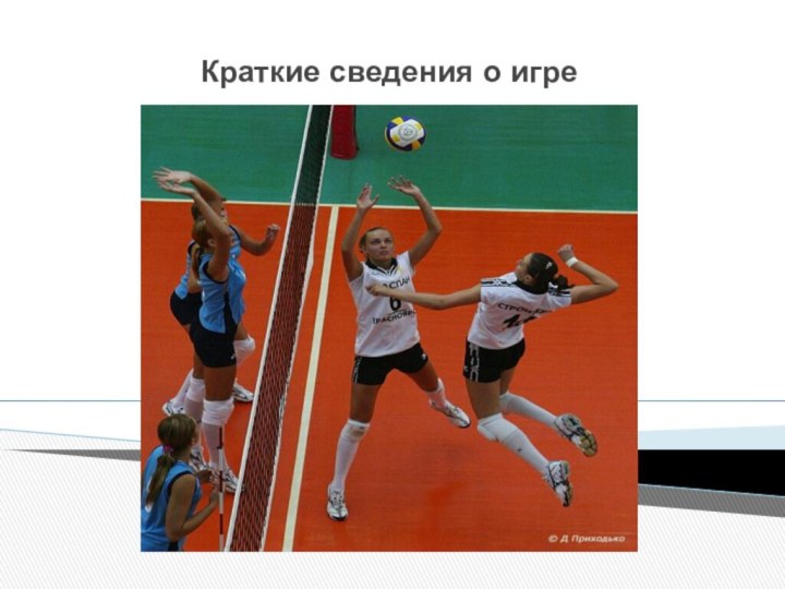 Доклад: Волейбол