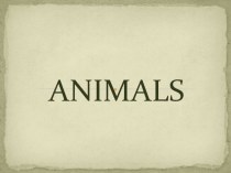 Лексика для 6 кл_Animals