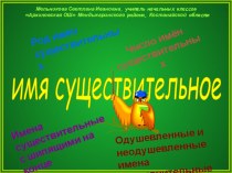 Презентация по русскому языку на тему  Имя существительное