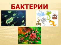 Презентация по биологии на тему  Бактерии  ( 5 класс)