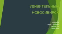 Презентация по окружающему миру Мой Новосибирск