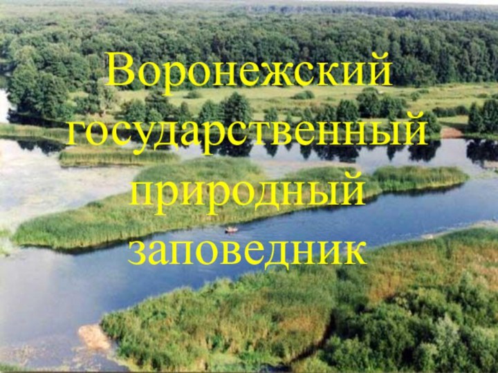 Воронежский государственный природный заповедник