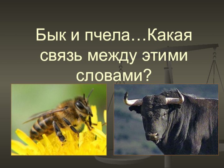 Бык и пчела…Какая связь между этими словами?