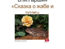 Тест по произведению В.М.Гаршина Сказка о жабе и розе