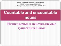 Countable and uncountable nouns.